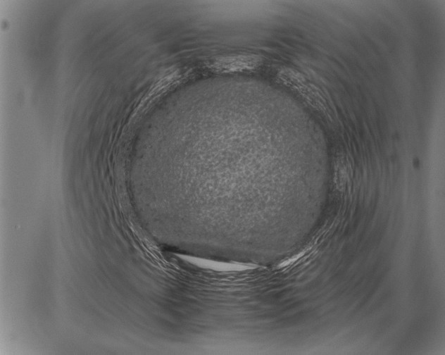 X0000087671393200705181653