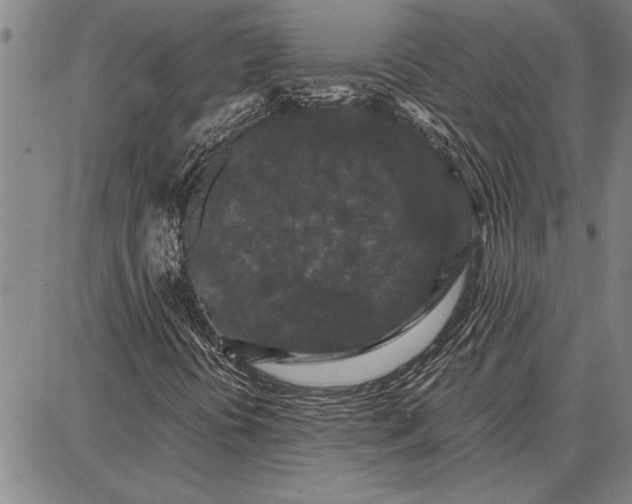 X0000087671394200705181653