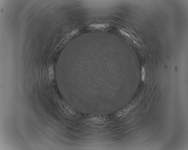 X0000087671395200705181653