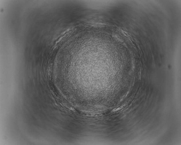 X0000087671397200705181653