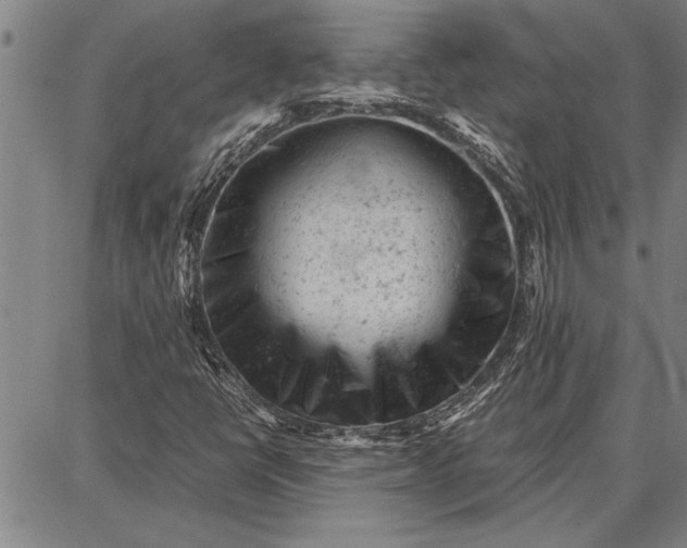 X0000087671398200705181653