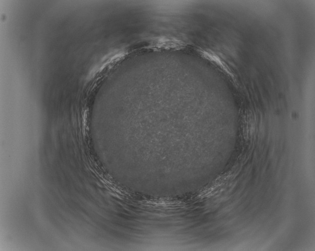 X0000087671399200705181653