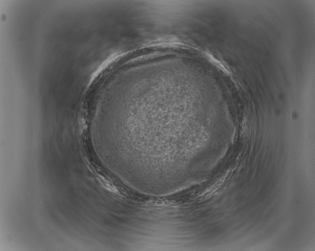 X0000087671400200705181653