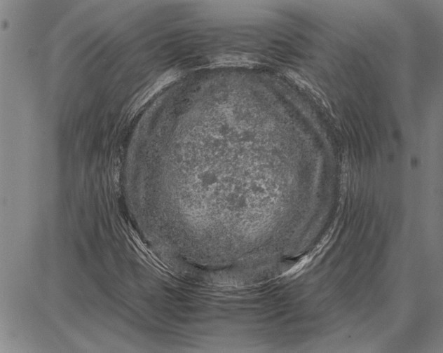 X0000087671401200705181653