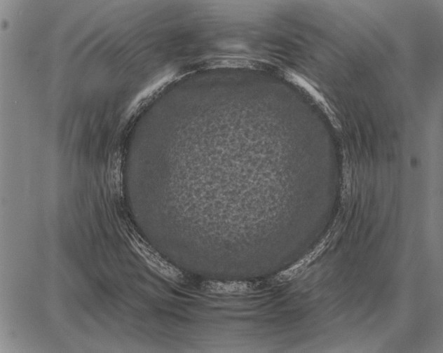 X0000087671403200705181653