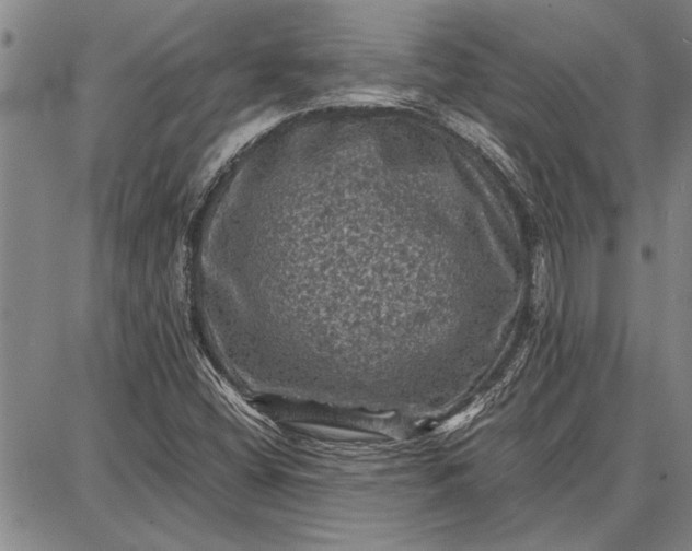 X0000087671404200705181653