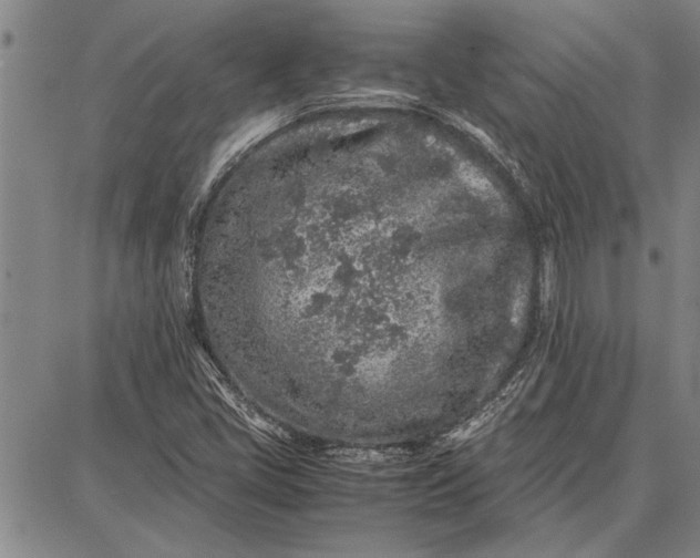 X0000087671405200705181653