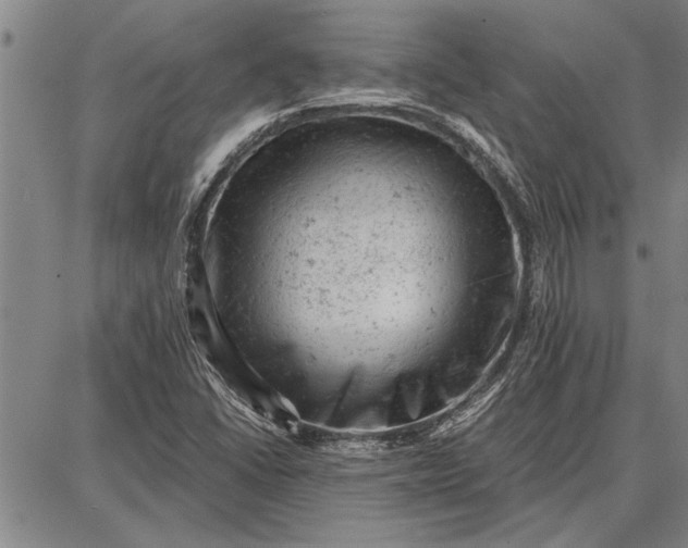 X0000087671406200705181653