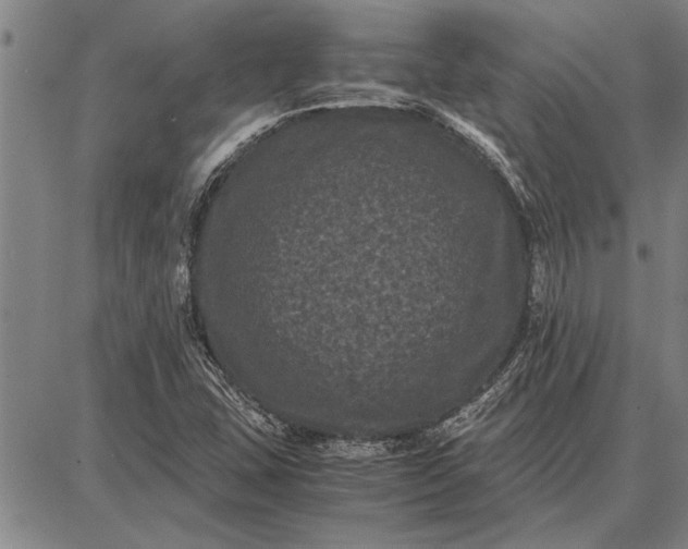 X0000087671407200705181653