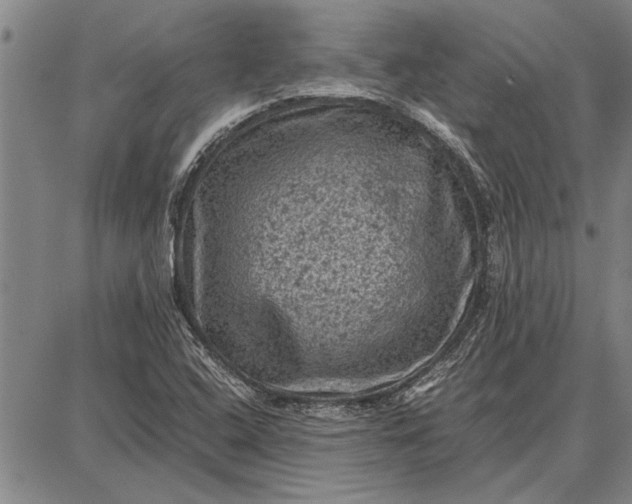 X0000087671408200705181653