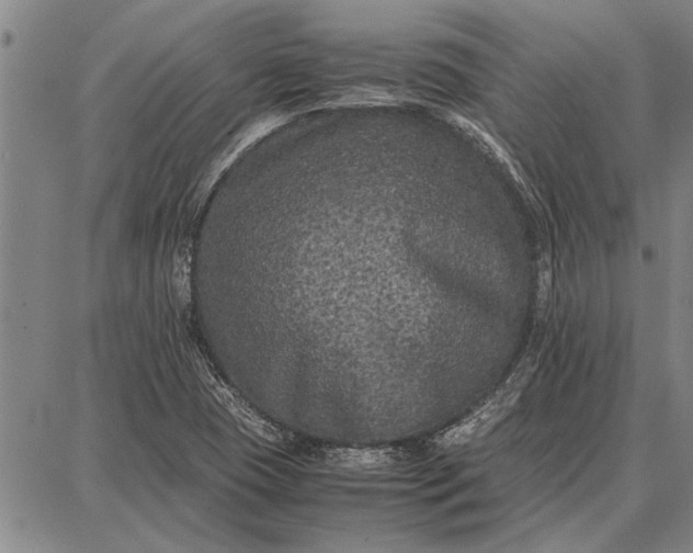 X0000087671409200705181653