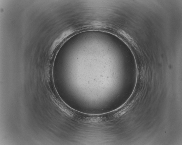 X0000087671410200705181653