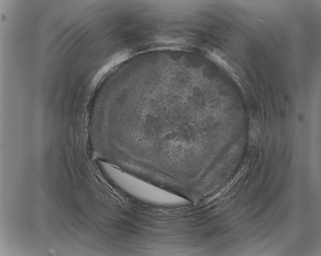 X0000087671411200705181653