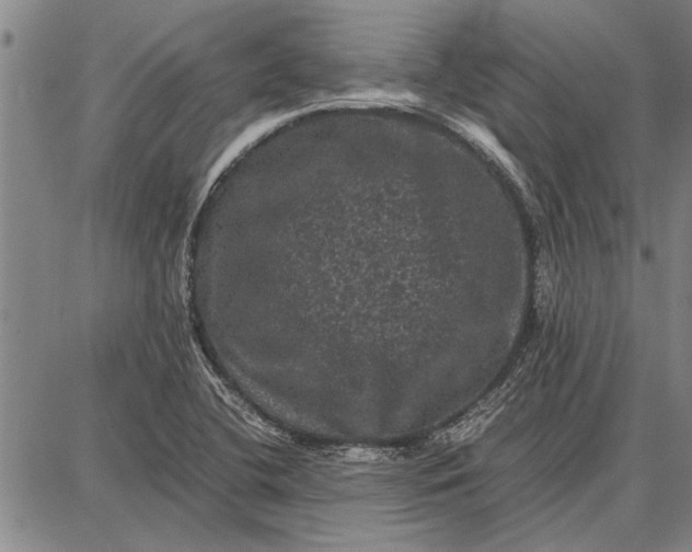 X0000087671412200705181653