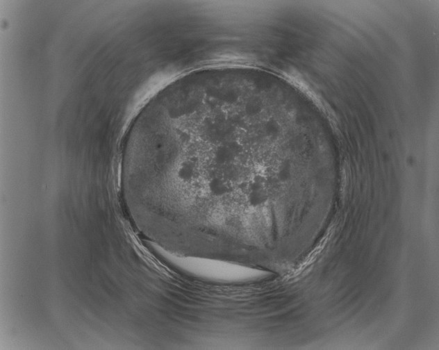 X0000087671413200705181653