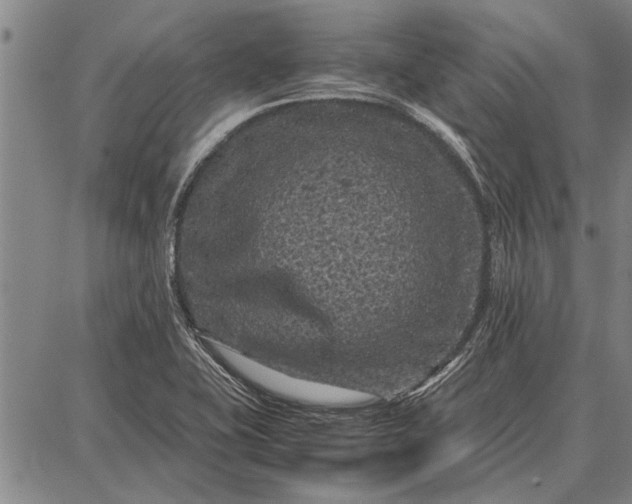 X0000087671415200705181653