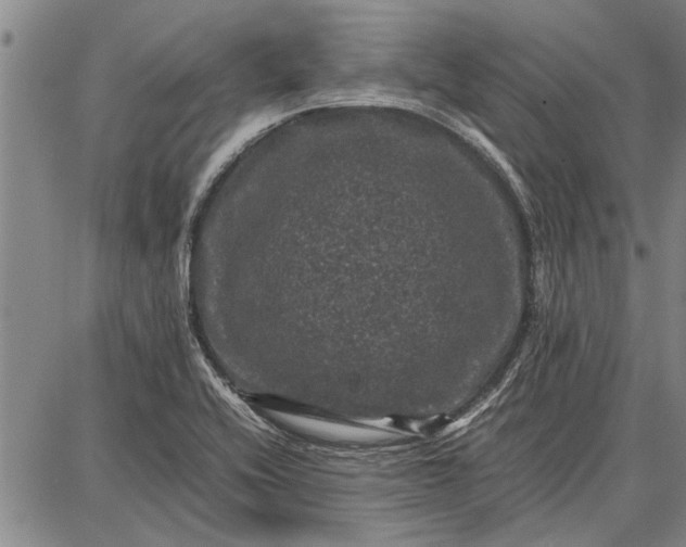 X0000087671416200705181653