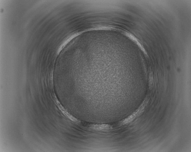 X0000087671417200705181653