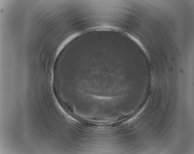 X0000087671418200705181653