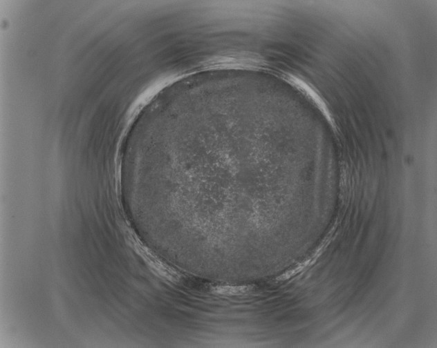 X0000087671419200705181653