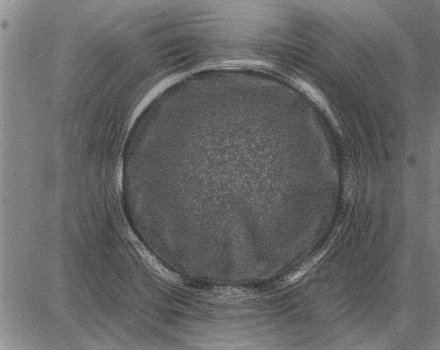 X0000087671420200705181653