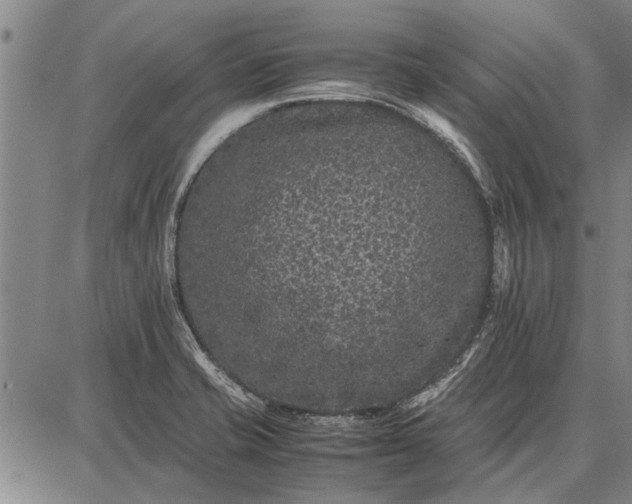 X0000087671421200705181653