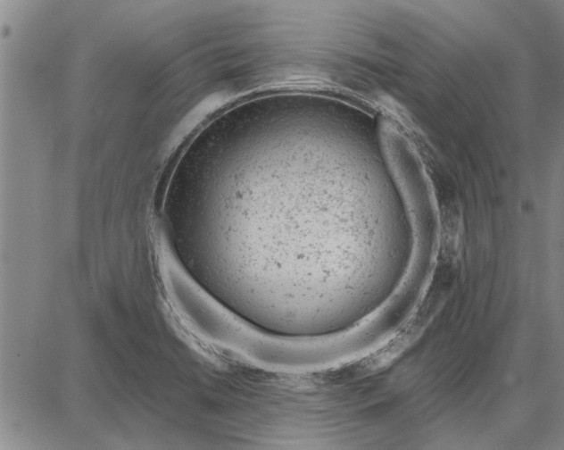 X0000087671422200705181653