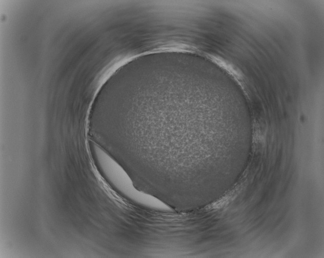 X0000087671423200705181653