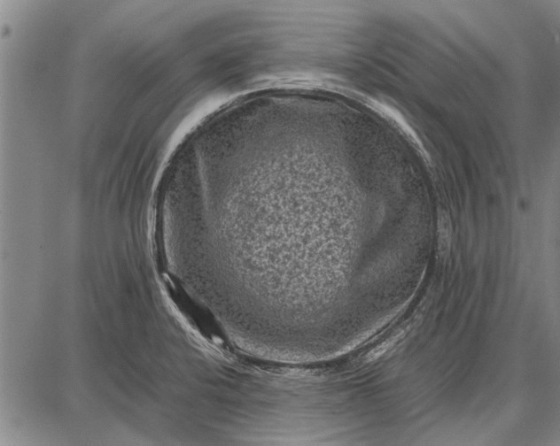 X0000087671424200705181653