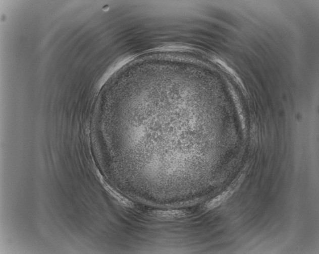 X0000087671425200705181653