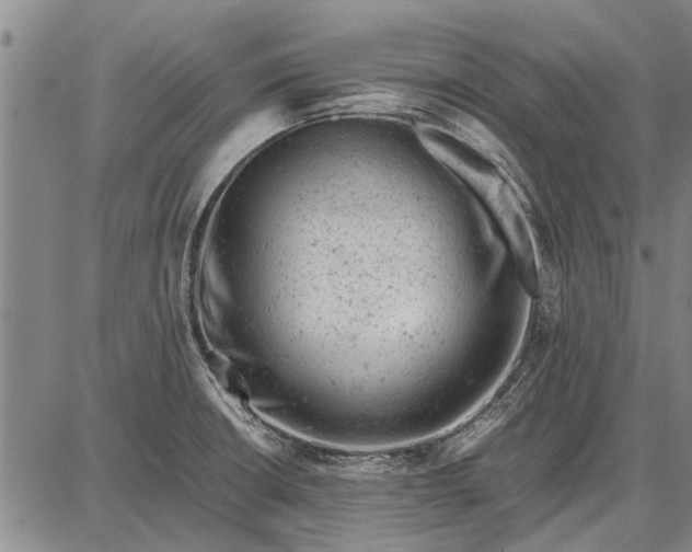 X0000087671426200705181653