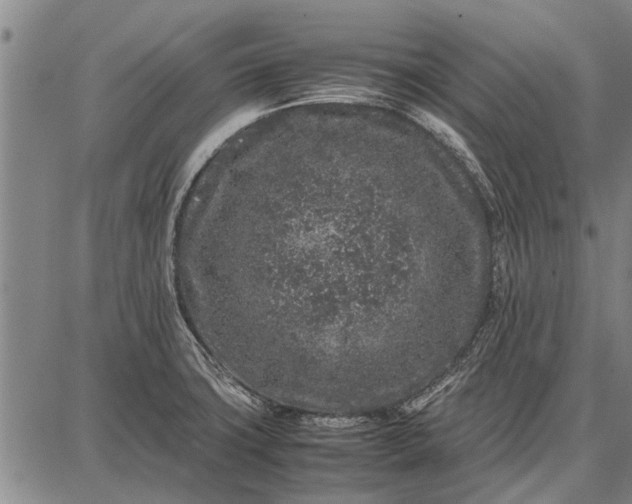 X0000087671427200705181653