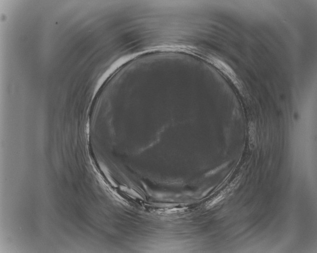 X0000087671428200705181653