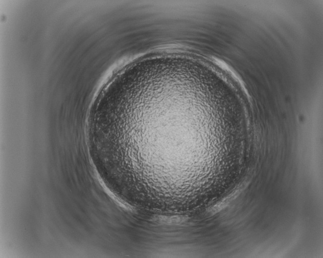 X0000087671429200705181653