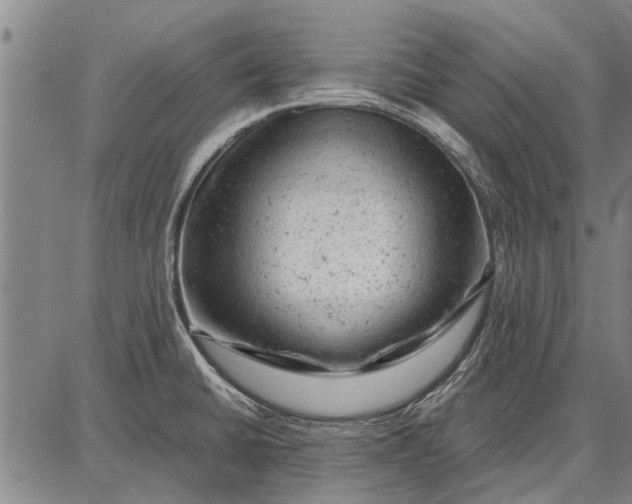 X0000087671430200705181653