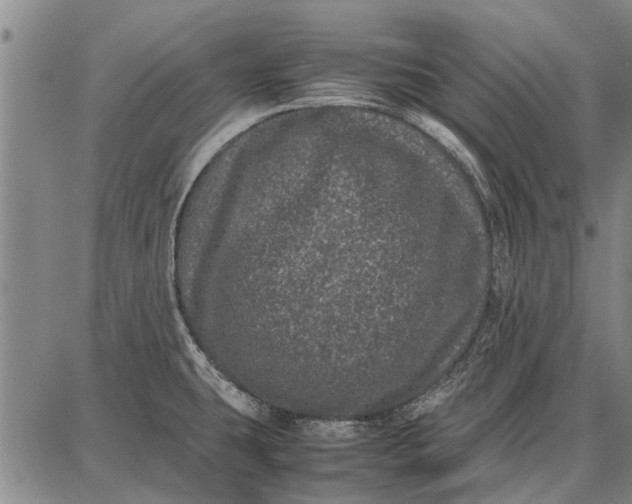 X0000087671431200705181653