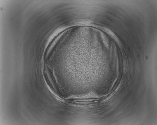 X0000087671432200705181653