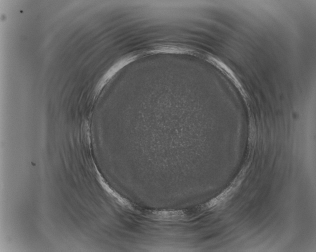 X0000087671433200705181653