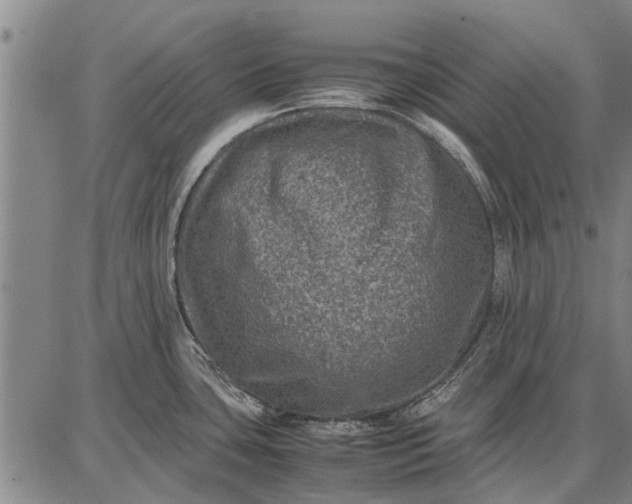 X0000087671435200705181653