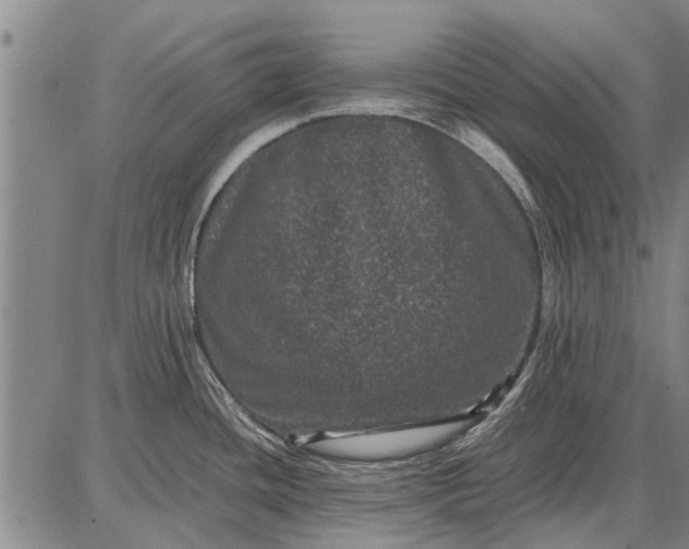 X0000087671436200705181653