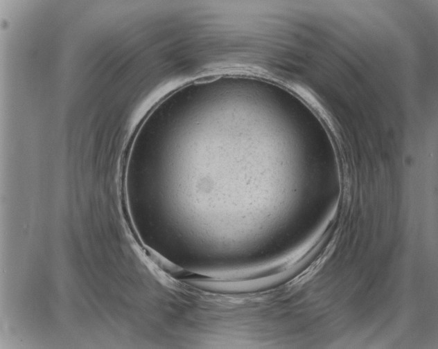 X0000087671438200705181653