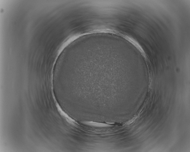 X0000087671439200705181654