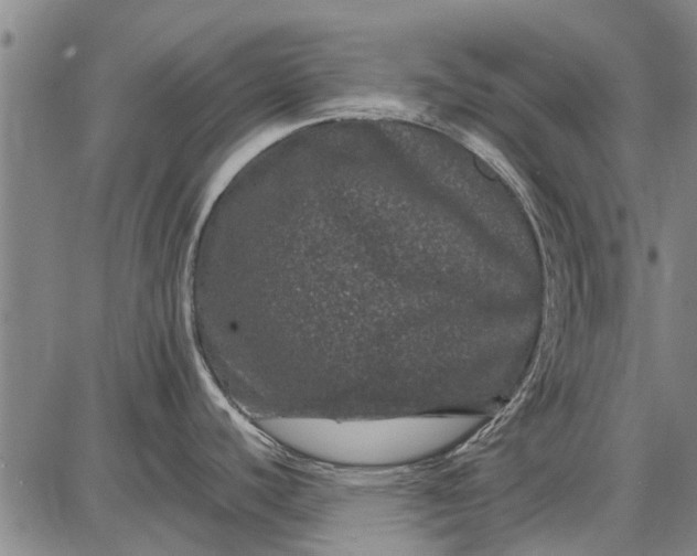 X0000087671440200705181654