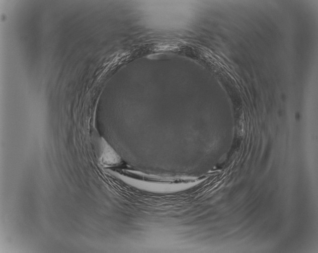 X0000087671441200705181653