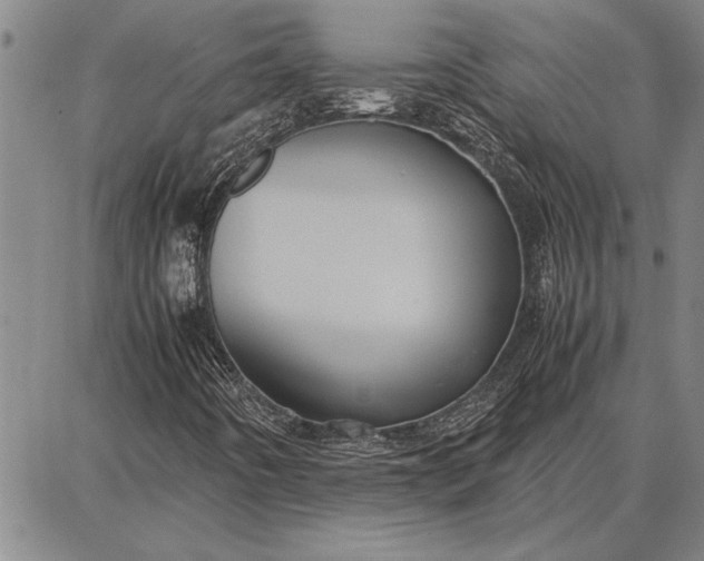 X0000087671442200705181653