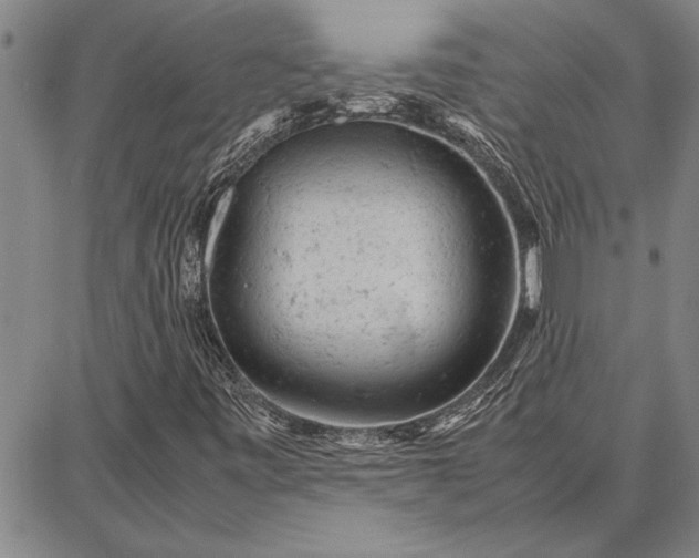 X0000087671443200705181653