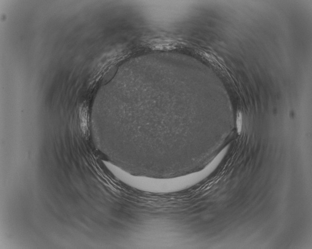 X0000087671444200705181653