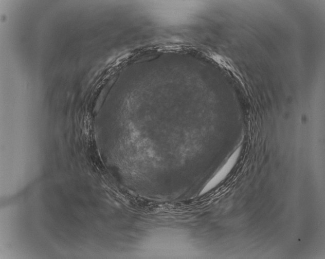 X0000087671445200705181653