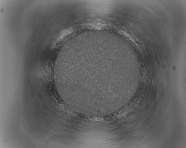 X0000087671446200705181653