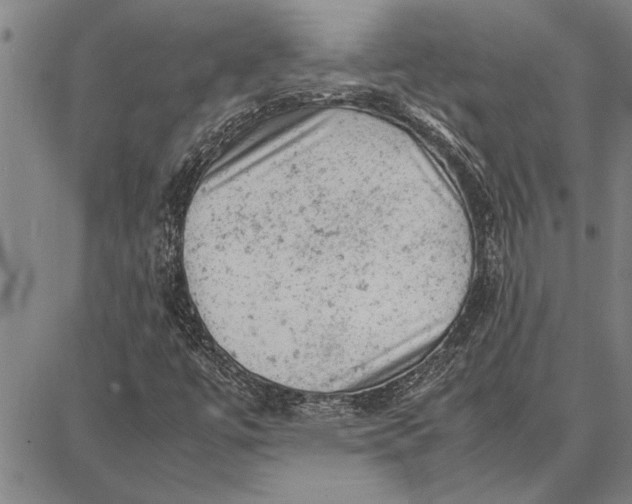 X0000087671447200705181653